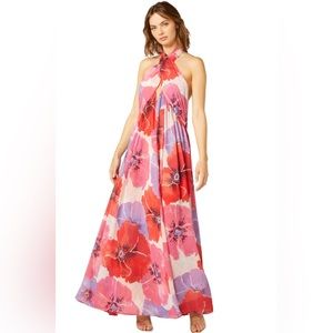 MISA Alexandra Maxi Dress in Poppy Print - Size S